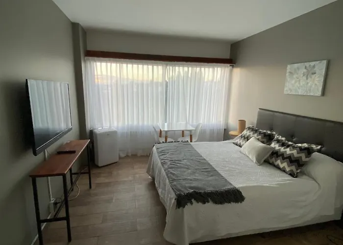 Departamento Centrico Con Vista